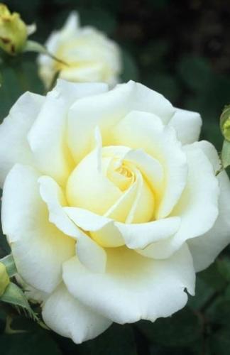 08:41:40 GMT-0500 (CDT)