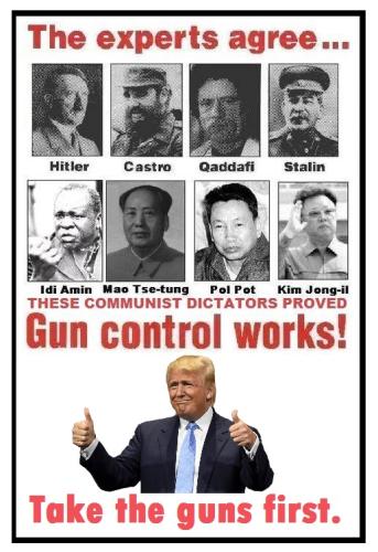 52063547_2188963274519125_3174540869709594624_n