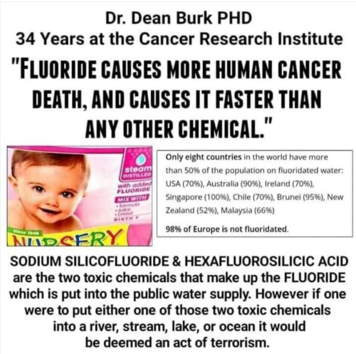 Screenshot_2022-03-28-18-13-57_kindlephoto-143756768