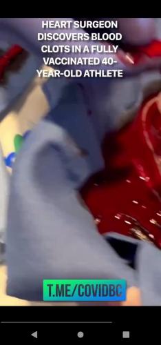 aa715bc4-6f39-454e-98ea-d1514bfafc9e