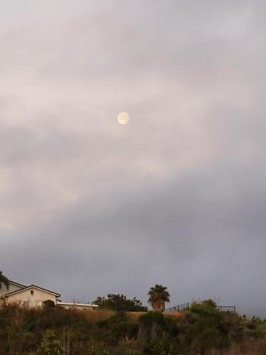 bfa0a326-7e57-4599-b05d-a79dcacab011