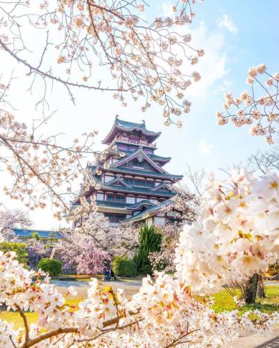 278430712_2860503617583084_2843930433591984383_n