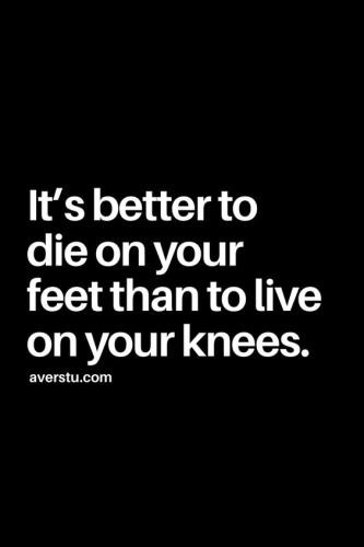 4b086f0551830c69de52fc39008cab51