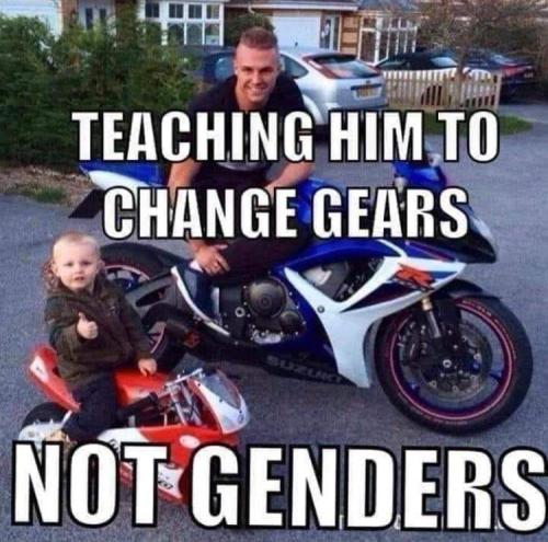 Gender 2