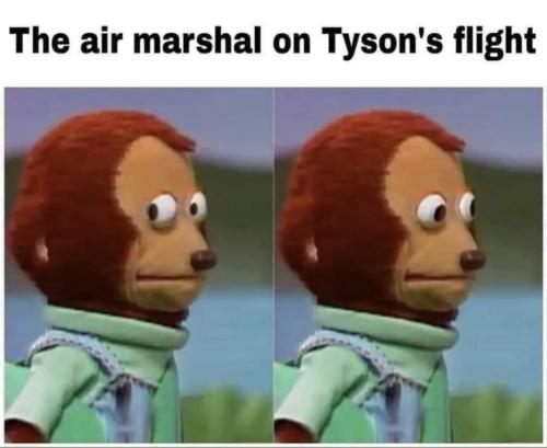 photo_2022-04-24_17-43-36