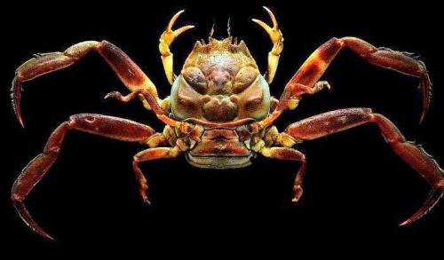 279284626_5026148980796920_2767421104699710016_n