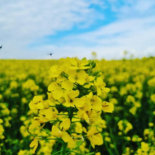 2fef3418-4b03-46f0-b976-e42e17d4ff1d