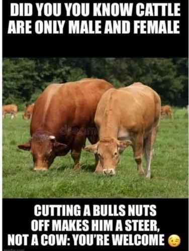 35309855-be82-4cd3-98c9-2f64d87a0985