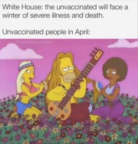 279117072_1323703558155187_3273462016100920247_n