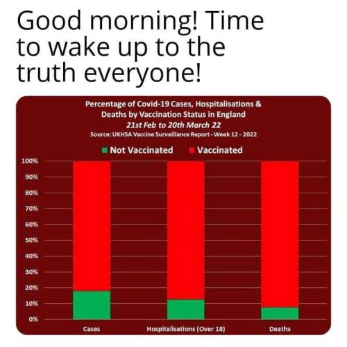 2cb97c53-2c88-4bf1-84fa-2f486c99fe28