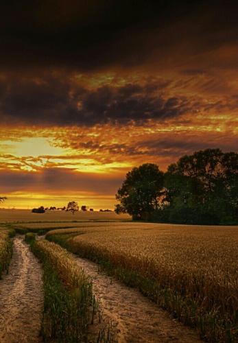 09:47:56 GMT-0500 (CDT)