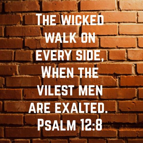 1649112695062_verse_image