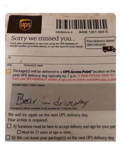ups delivery