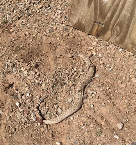 C20BCECC-961F-4102-9F6B-2A6EA3B212B3