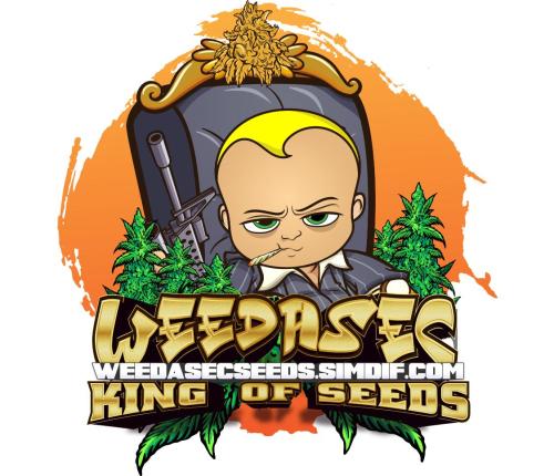 9a8b4705-39ca-459e-a7a0-28798d7a12f6