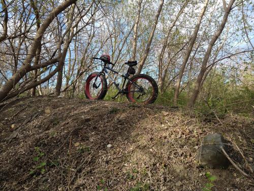 dae41934-74eb-4671-a1fb-550630397894