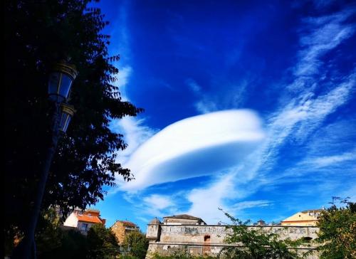 zzzzzzzzzzzzzzzzzzzzzzzz  279041435_2872011729611382_6445813810353800487_n