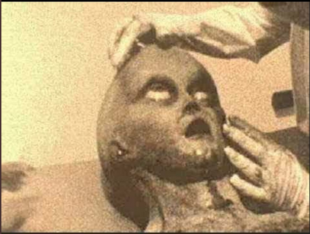 Screen Shot 2021-07-27 at 12.51.47 PM