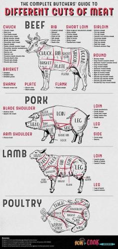 279018132_10161645960299097_1446214487964041752_n