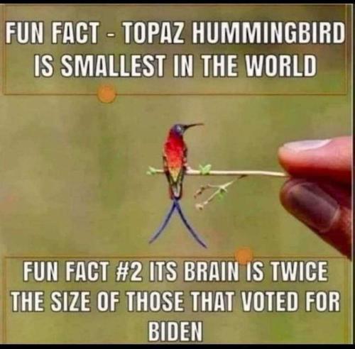 b86926ff-9824-4f1e-ac8c-1813dfef10f2