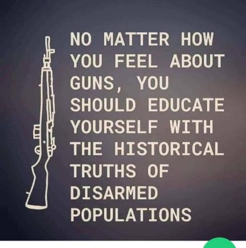 Gun_disarmed_population