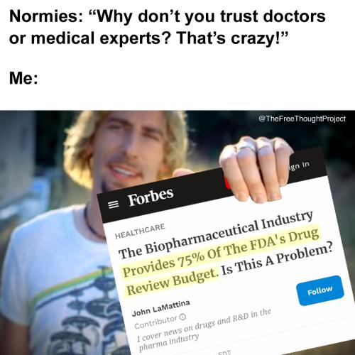 278405100_2762397730734090_4543095843845894773_n