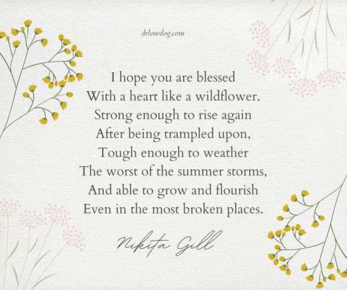 0616d457-cce8-453b-b722-bb69bdfd61c9