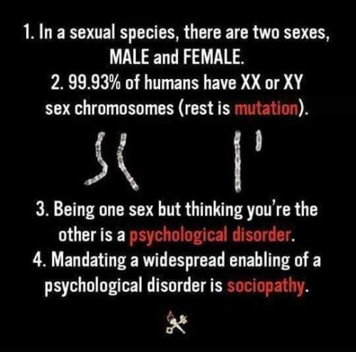 Gender 3