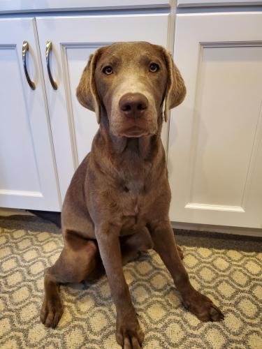 5e11f81e-85d0-42af-8458-f4aa77a78719