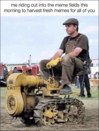 harvesting fresh memes