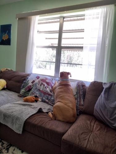 eec66ed5-da55-4f20-a023-2a06413f7a06