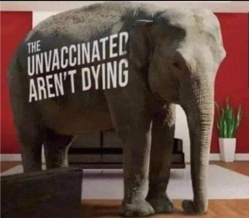 da88ed54-17e5-4dce-a9f4-457ffff32a1b