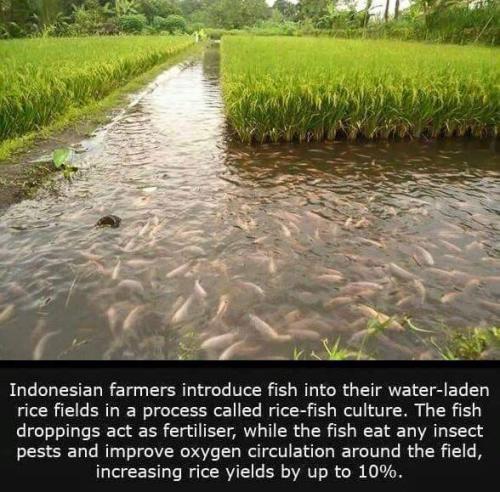 278453859_3083294801936810_5736346893178101873_n