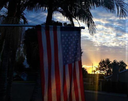 bb48552e-71e2-4783-b0c6-9d4d0ac1b61f