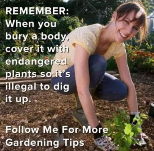 follow me for more gardening tips01