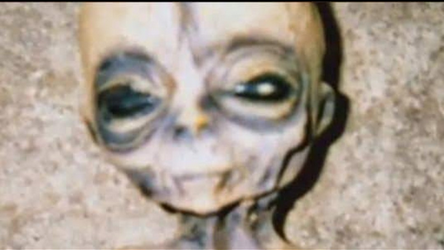 Screen Shot 2021-07-27 at 12.48.12 PM