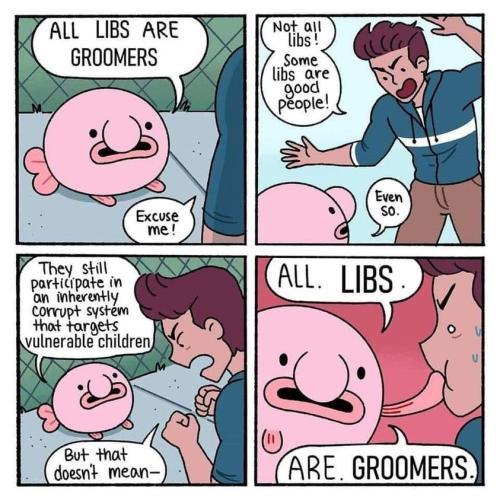 Libs Groomers 1