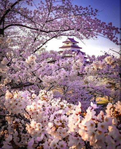 278410893_529149811914359_7648540615082789567_n