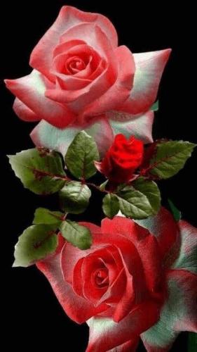 08:46:21 GMT-0500 (CDT)