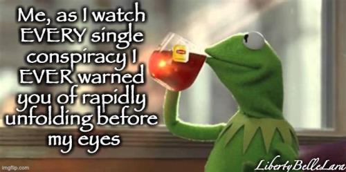 kermit my conspiracies are true