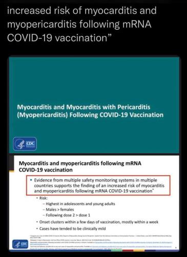 ec36130f-a310-490d-87ce-62dba820fb55