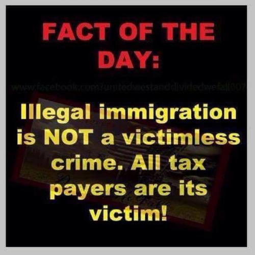 illegalimmigrat f