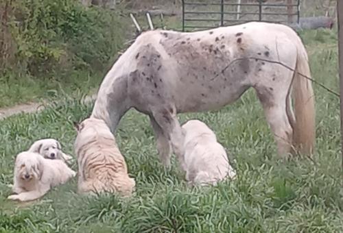 9134001c-ae75-47fc-a5ea-56f76e47a424