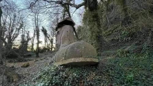 278497495_417049000420613_6872877640635934970_n