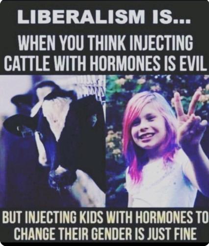 9df7d292-9ab8-4765-bad3-326b53191207