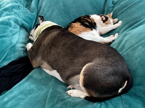 2EC94A66-1531-41FC-9A3F-EDA94EAF3A39