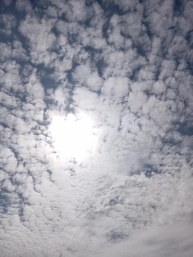 a1640371-44e1-44da-b344-400a2ef8d1f3