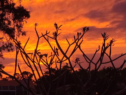 3983e98b-ff95-4e51-b4a6-a2bef26c7f39