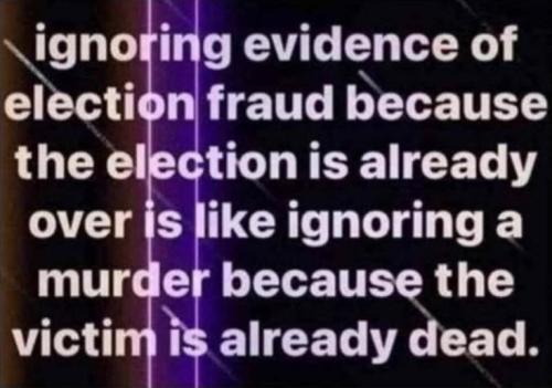 voterfraud308
