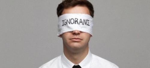 44fe9526-3528-4d62-89d5-c32a9872063d